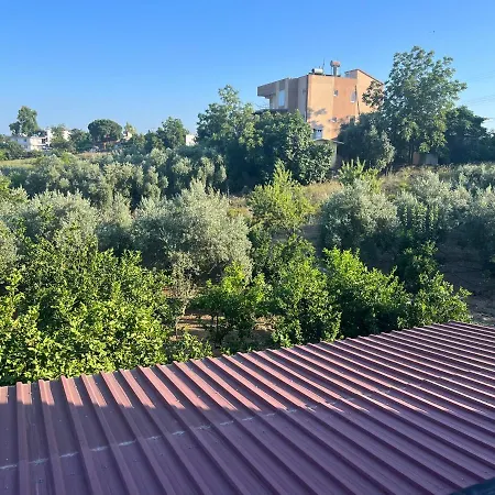 Inside Olive Trees, 7 Min To Sea Отель 3*