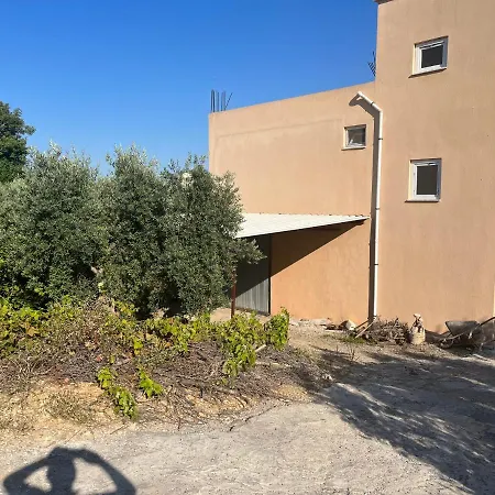 Inside Olive Trees, 7 Min To Sea