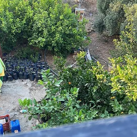 Hotel Inside Olive Trees, 7 Min To Sea 3*